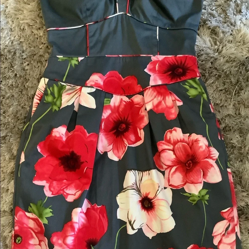 Anthropologie Hollyhock Dress by Sine - Picture 8 of 10